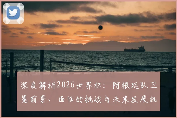 深度解析2026世界杯：阿根廷队卫冕前景、面临的挑战与未来发展机遇